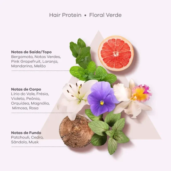 Hair Protein Proteína Capilar Concentrada Braé - 80g - Imagem 6